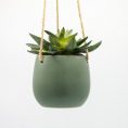Pot suspendu vert avec plante